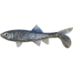 Berkley Havoc Sick Fish Bait, 4in., Disco Shad 178328