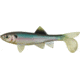 Berkley Havoc Sick Fish Bait, 4in., Ghost Minnow 178331