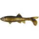 Berkley Havoc Sick Fish Bait, 4in., Gold Nugget 178332