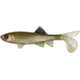 Berkley Havoc Sick Fish Bait, 4in., Green Penny 178333