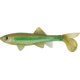 Berkley Havoc Sick Fish Bait, 4in., Light Hitch 178335