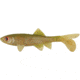 Berkley Havoc Sick Fish Bait, 4in., Swamp Gas 178336