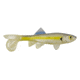 Berkley Havoc Sick Fish Bait, 5.5in., Chartreuse Shad 178383