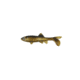 Berkley Havoc Sick Fish Bait, 5.5in., Gold Nugget 178387