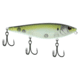Berkley HighJacker Saltwater Hard Bait, Topwater, Saltwater, 100, 2/3 oz, 100mm, Topwater, Hook Size 6, 3 Hooks, HD Pilchard, 1547900