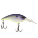 Berkley Money Badger Hard Bait, Crankbait, Purple Glimmer, 6.75, 1572534