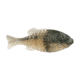 Berkley PowerBait Gilly Soft Bait, Blue Shiner Gold, 110, 1546073