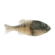 Berkley PowerBait Gilly Soft Bait, Blue Shiner Gold, 110, 1546073