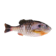 Berkley PowerBait Gilly Soft Bait, HD Bluegill, 110, 1546064
