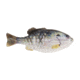 Berkley PowerBait Gilly Soft Bait, HD Crappie, 90, 1546055