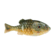 Berkley PowerBait Gilly Soft Bait, HD Pumpkinseed, 130, 1546077