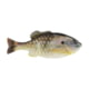 Berkley PowerBait Gilly Soft Bait, HD Sunfish, 110, 1546063