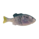 Berkley PowerBait Saltwater Gilly Soft Bait, HD Menhaden, 90, 1573096