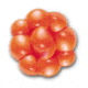 Berkley PowerBait Trout/Steelhead Egg Clusters Soft Bait, Fluorescent Orange, 1307612