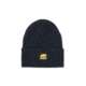 Berne Standard Knit Cap - Mens, Navy, One Size, Regular, 92021107264