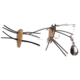Betts Spin Grunts Grub Lure, Cricket/White Legs, 1/32oz, 1in, 021GRRL-50N