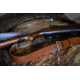 Bieling Leather Co. Classic Leather Rifle Sling, Medium Brown, 36 - 42in, BLC0003