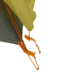 Big Agnes Blacktail 4 Tent, Warm Olive/Chinois Green, 4 Person, TBT425