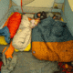 Big Agnes Dream Island 20 Sleeping Bag, Tapestry/Brown Sugar, Double Wide, BDIDW2025