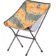 Big Agnes Mica Basin Extra Large Camp Chair, Brown Trout, Extra Large, FMBCCXLT22