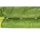 Big Agnes Sarvis Sl 30, 650 Downtek Sleeping Bag, Green, Long, BTMSSL30LL20