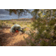 Big Agnes Wyoming Trail 2 Camp Tent - 2 Person, 3 Season, Olive, TWT222