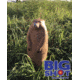 BIGshot Big Shot Pro Hunter Groundhog Target