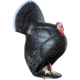 BIGshot Big Shot Strutting Turkey Target , 1006770