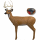Bigshot Pro Hunter Buck Target, 3D110
