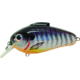 Bill Lewis Echo 1.75 Crankbait, Floating, Blueberry Perch, 3in, 5/8oz, EC255