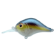 Bill Lewis MR 6 Shad, 1, 2.25 -- 2.25in, Threadfin Shad, BLF-6MR698