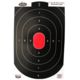 Birchwood Casey Dirty Bird Paper Silhouette Target 12x18 Inch