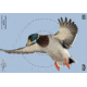 Birchwood Casey Dirty Bird PreGame Animal Targets Duck 12x18 Inch 8 Per Package