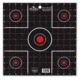 Birchwood Casey Dirty Bird Splattering Targets 12 Inch Sight-In Package of 12, BC-35212
