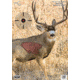 Birchwood Casey Pregame Targets, BC-35402