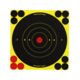 Birchwood Casey Shoot-N-C Targets 6 Round Bullseye 60 Targets 240 Pasters 34550