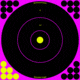Birchwood Casey Shoot-N-C Pink Reactive Target 12 Inch Bullseye 5 Per Package, BC-34027