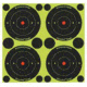Birchwood Casey Shoot-N-C Targets, BC-34375