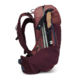 Black Diamond 30L Pursuit Backpack - Womens, Cherrywood/Ink Blue, Medium, BD6800299492MED1