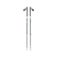 Black Diamond Expedition 3 Ski Poles, Desert Sage, 125 cm, BD11161630571251
