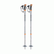 Black Diamond Traverse Ski Poles