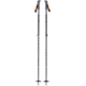 Black Diamond Traverse WR Ski Poles, One Size, BD1115950000ALL1