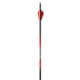 Black Eagle Arrows Carnivore Arrows, .001in, 350, Pack of 6, Black/Red, 33795