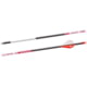 BloodSport Justice Arrows 350 2 in. Vane 6 pk., Black, Black, BLS-BLDS135