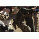 Blue Force Gear Rackminus 12 Column Chest Rig, Multicam MM-CHESTRIG-1-MC