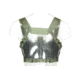 Blue Force Gear Ten-Speed Sr25 Chest Rig, Wolf Gray TSP-CHESTRIG-SR25-WF
