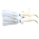 Blue Water Candy Tandem Loaded Parachute Rig