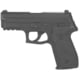 Blueguns SIG Sauer P229R DAK Training Guns, Not Weighted, No Light/Laser Attachment, Handgun, w/ Rails, Black, FSP229RDAKB