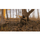 BOG Deadshot Aluminum Tripod