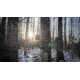 BOG Clandestine 18MP Game Camera, Camo, 1116327